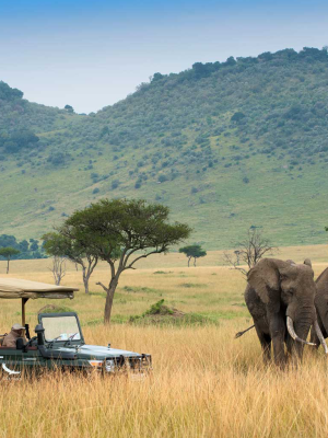 amboseli
