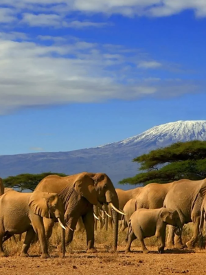 tarangire